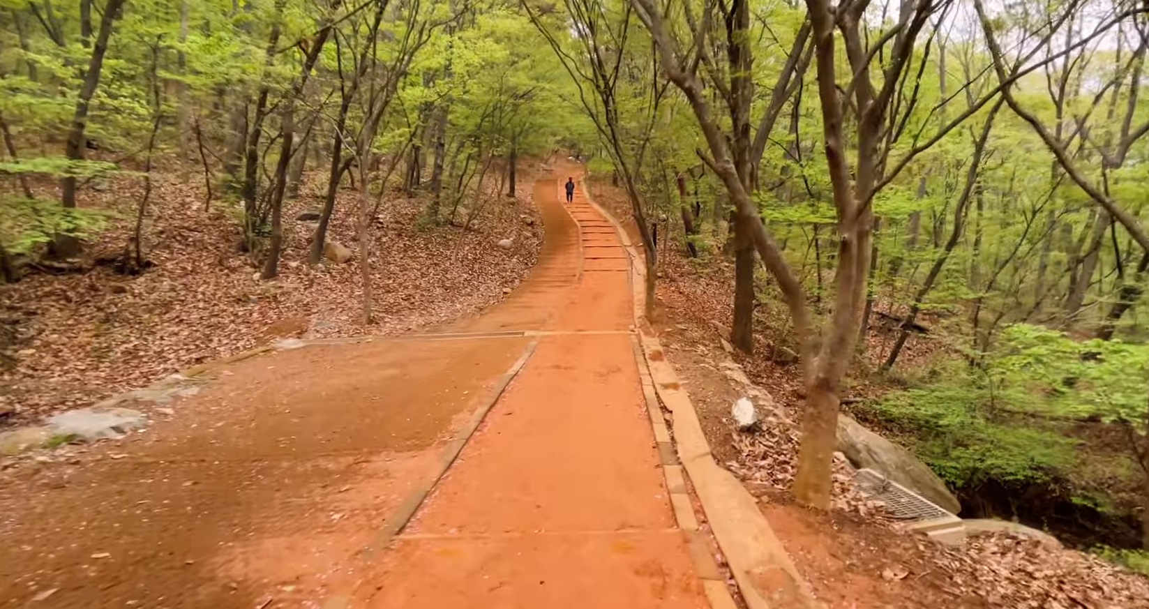 맨발 걷기 좋은길