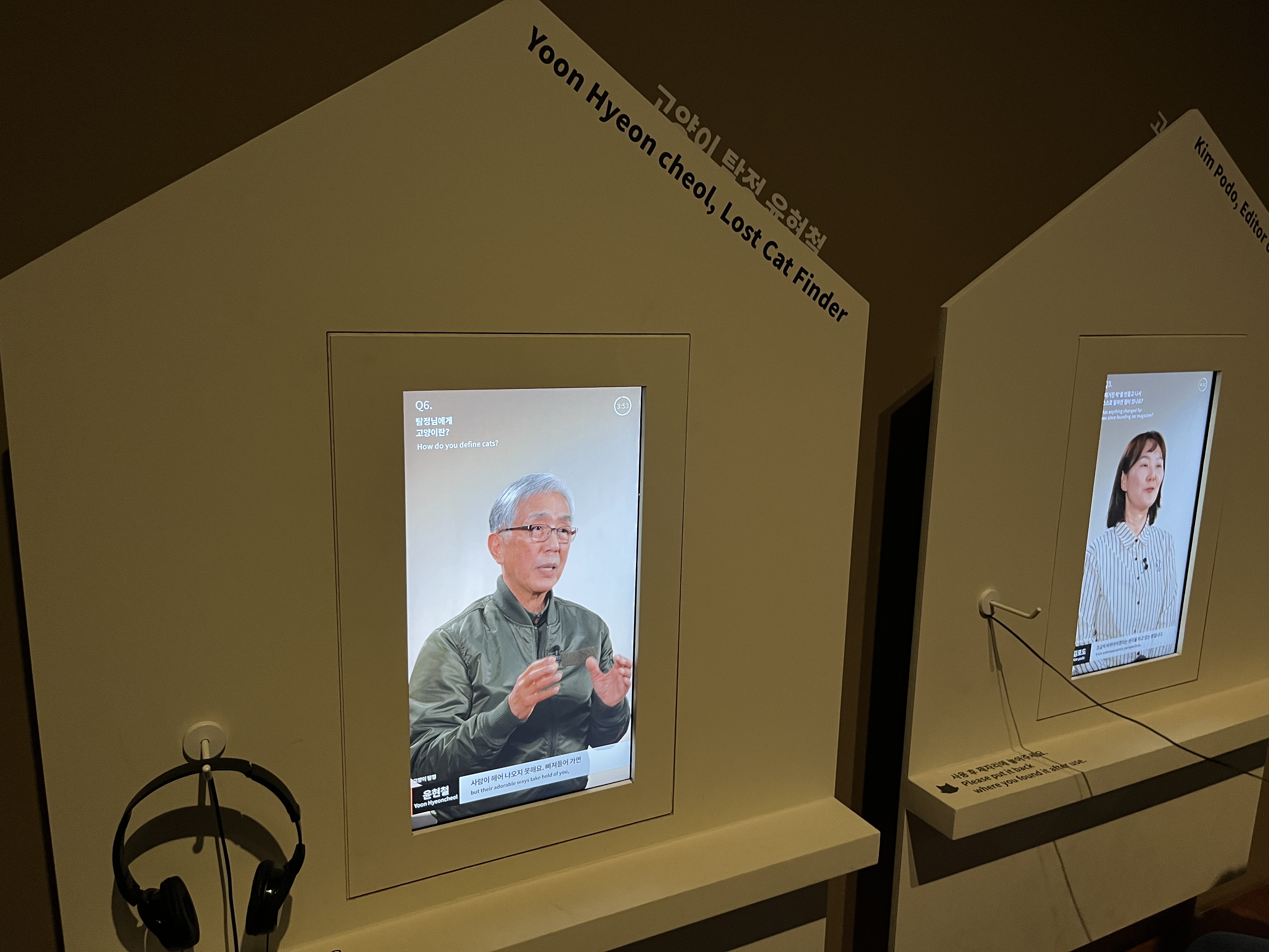 요물 우리를 홀린 고양이