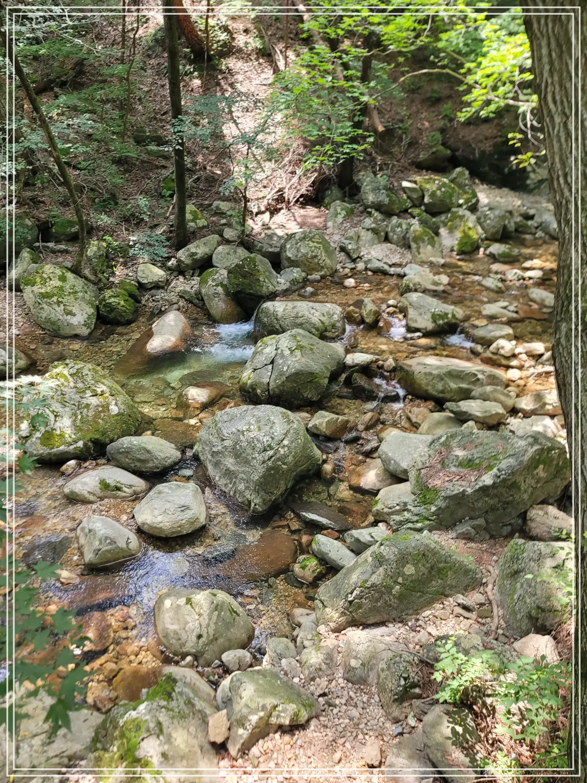 용문사-20250808_134641