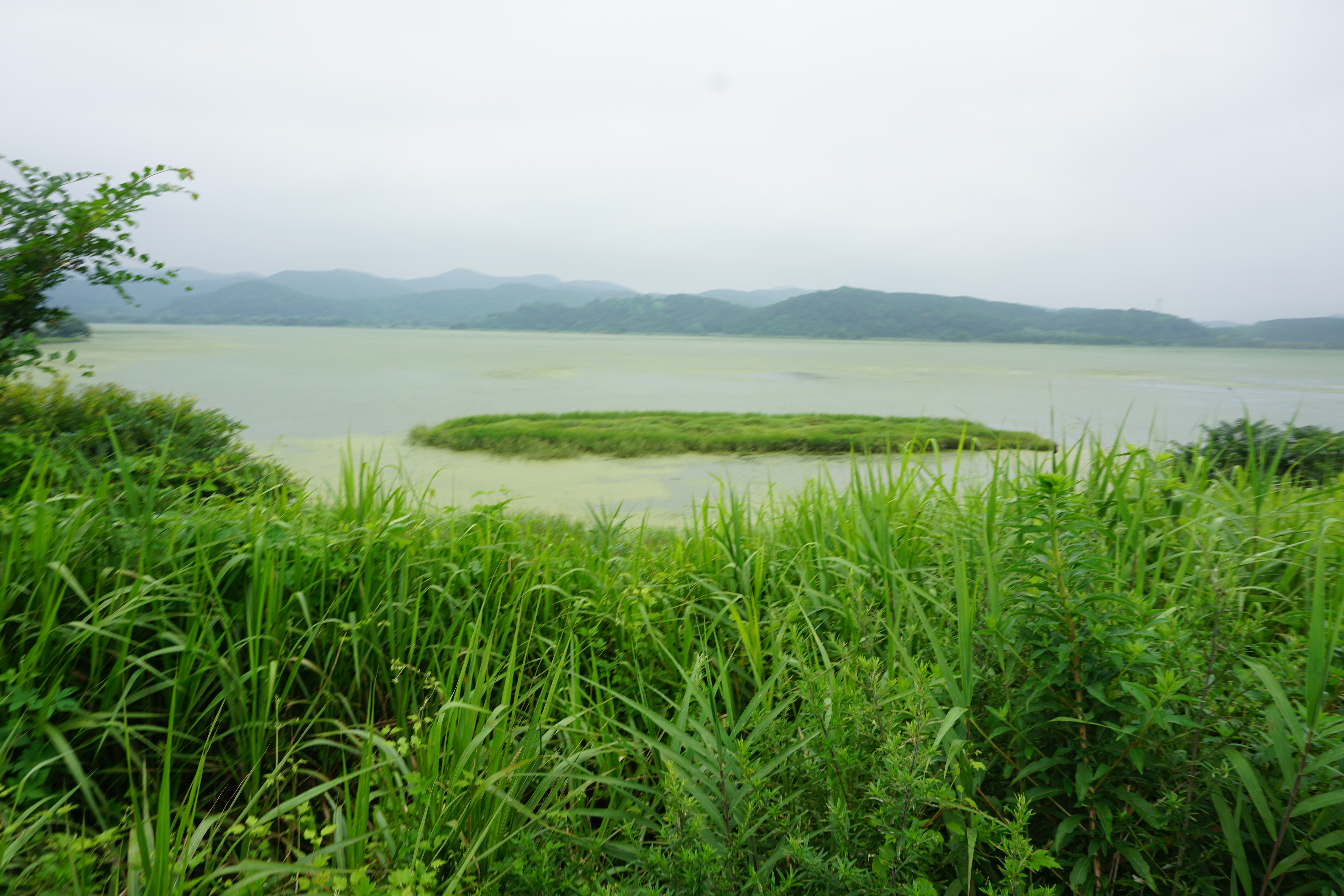 경남 창녕군 우포늪, 우포생태관, 우포출렁다리