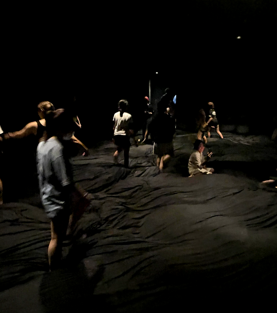 일본 도쿄 팀랩 플래닛 여행 내부진입- 소프트 블랙홀