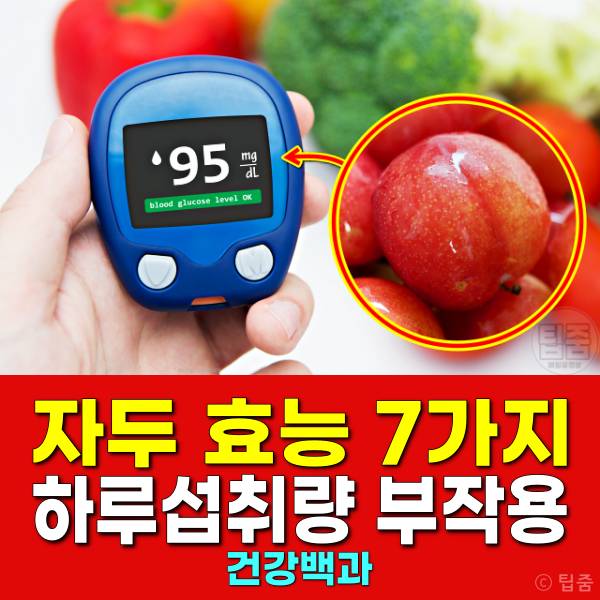 자두 효능 자두하루섭취량 자두부작용