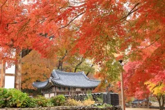 공주 가볼만한곳 베스트10 현지인 추천 필수코스_14