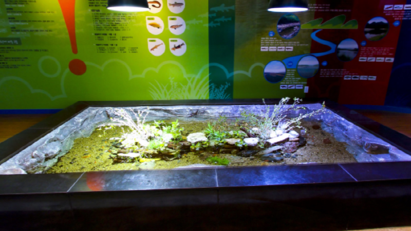 단양 아쿠아리움