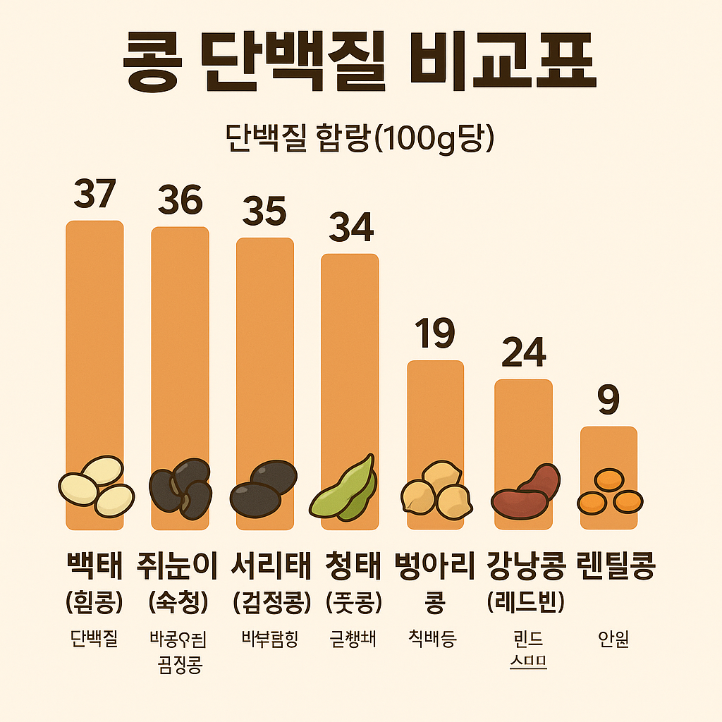 슈퍼푸드 콩 관련 이미지