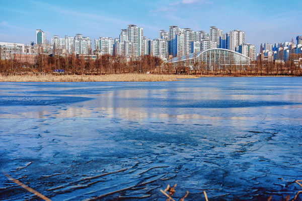 수원 반려견 산책 어디가 좋을까? 겨울에도 걷기 좋은 명소 추천