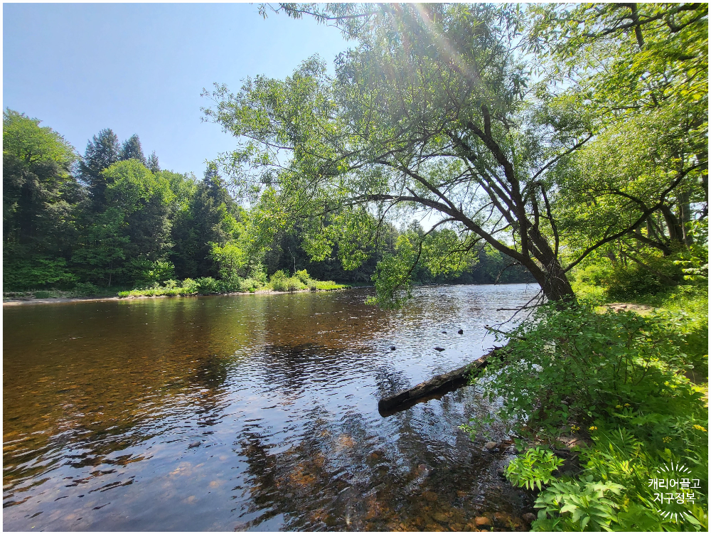 코펠과 가스버너로 라면 끓여먹기