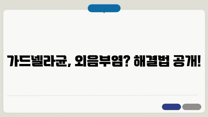 가드넬라균 예방