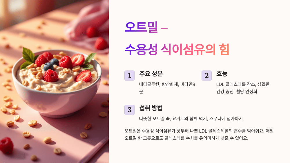 오트밀 수용성 식이섬유의 힘