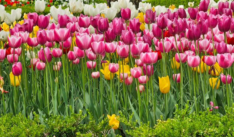 모니카 임신 후 스타일 변화