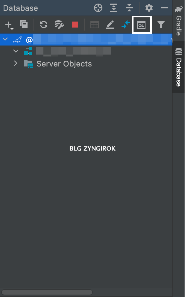 데이터베이스-메뉴에서-QL-아이콘을-누른다.
