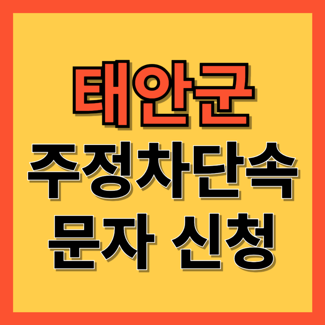 태안군 주정차 단속 알림 서비스 신청 방법 ❘ 불법주차 문자알림서비스