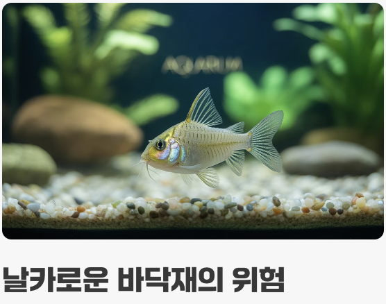 어항 바닥재&amp;#44; &amp;#39;부드러움&amp;#39;이 생명