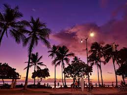  신혼 여행지 추천 해외 BEST 7 - 하외이