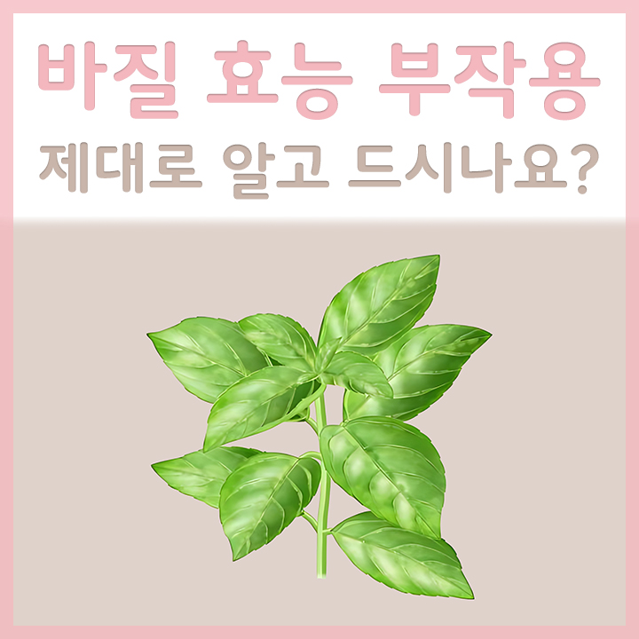 바질