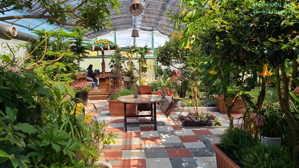 용도수목원-허브식물원