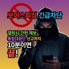 보이스피싱 긴급차단 제도