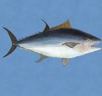 귀에 좋은 음식