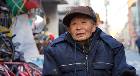 세상에 이런일이 천재견 테리