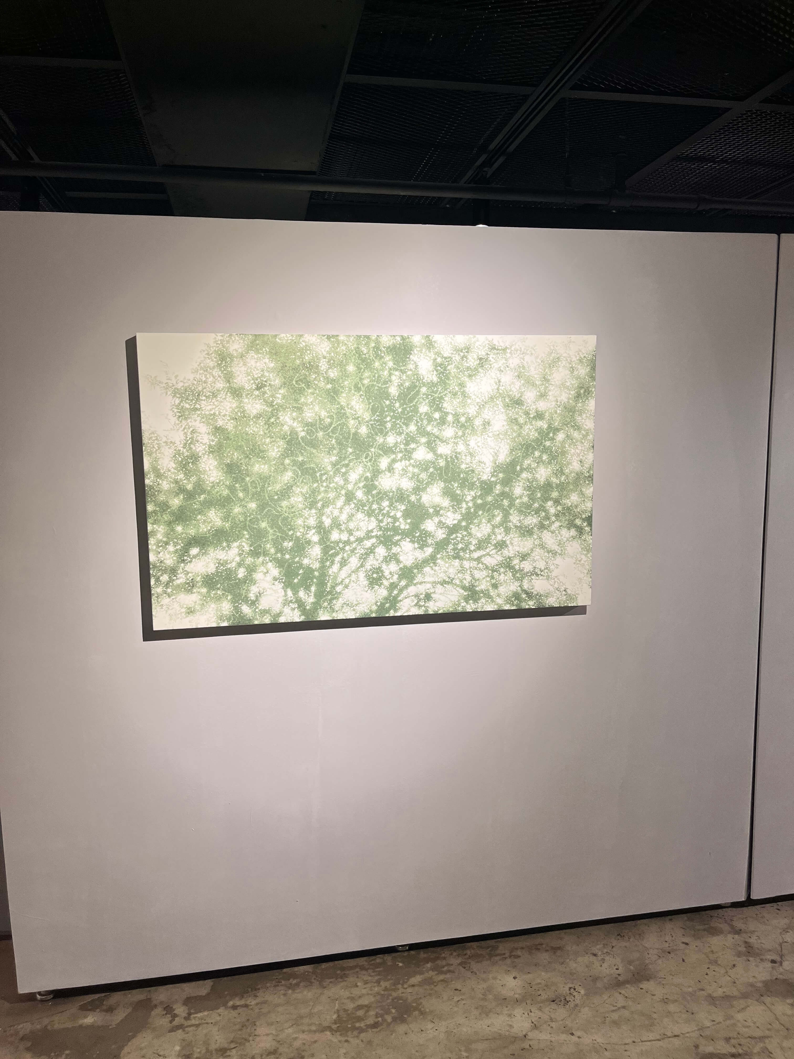 부산 해운대 카린갤러리 미술 무료 전시회 숨결