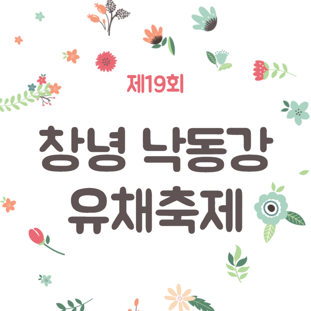 제19회 창녕낙동강유채축제 소개