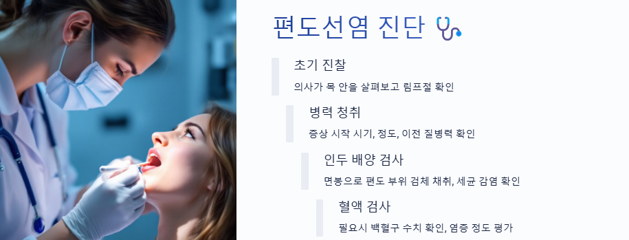 편도선이 붓는이유, 편도선염, 편도선염 증상, 편도선염에 좋은 음식, 편도선 증상