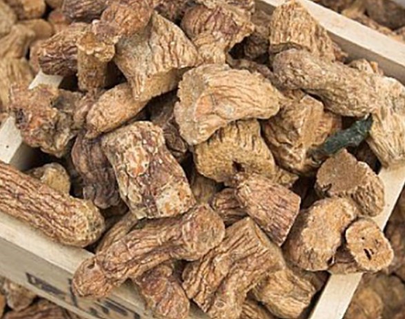 둥글레차 효과 둥글레차 물대신 둥굴레차 효능 둥굴레차 부작용