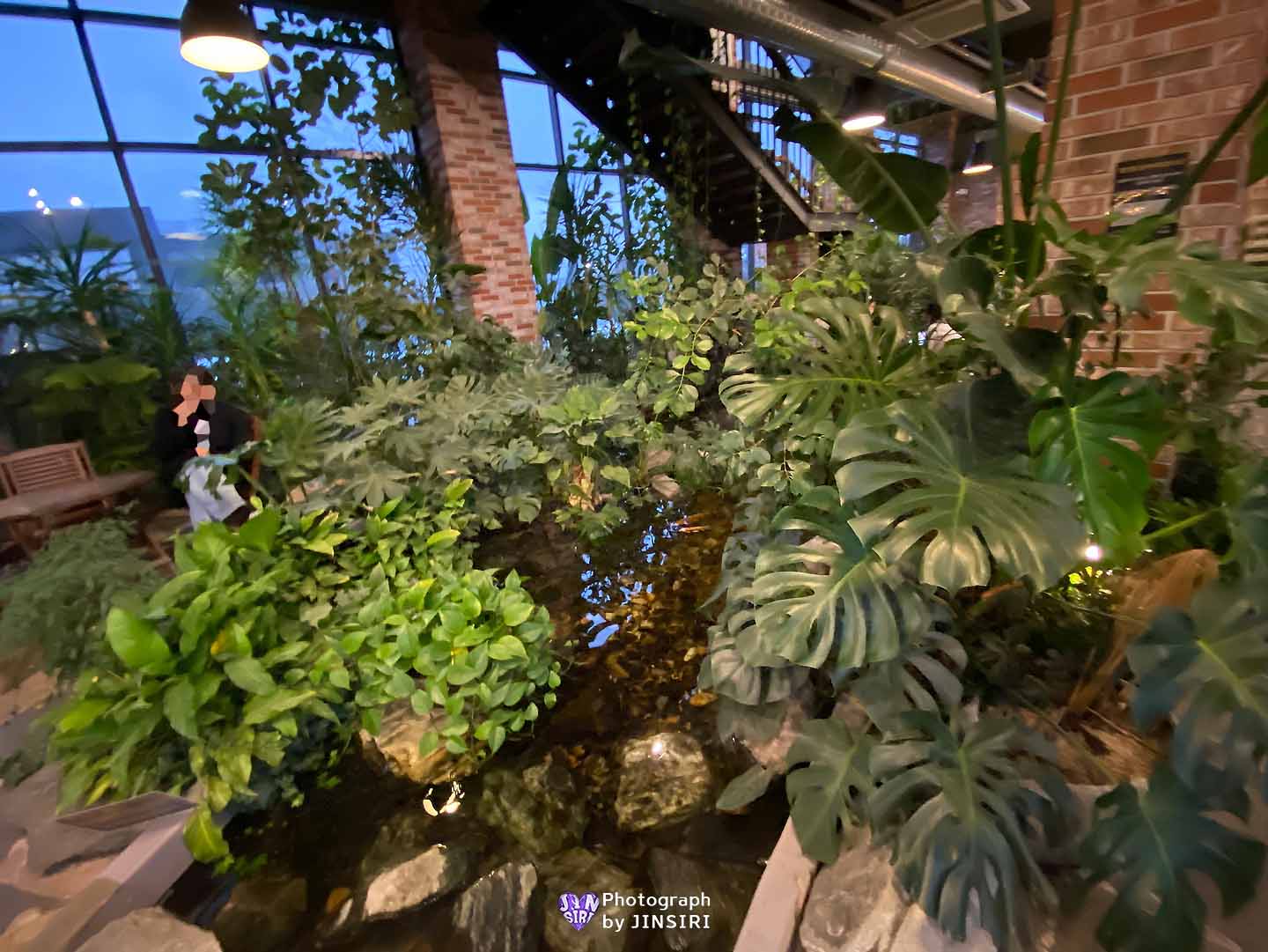 ๊นํฌ ์์ด ๋ฒ ์ด์ปค๋ฆฌ ์๋ฌผ์ ๋ํ ์นดํ ์์ธ๊ทผ๊ต ๋๋ผ์ด๋ธ ๊ธ๋ฆฐ๊ณต์