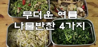 여름나물 종류 10가지 여름 제철 나물 반찬_8