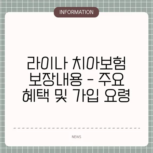 라이나 치아보험 보장내용 - 주요 혜택 및 가입 요령