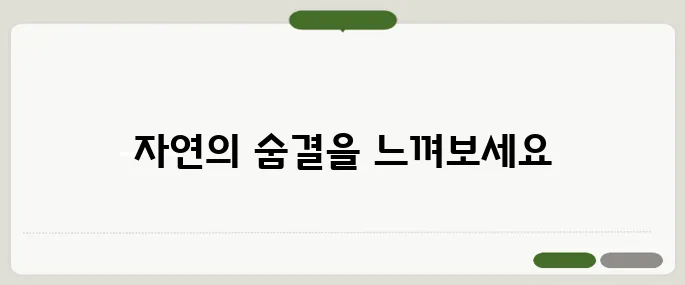장흥 가볼만한곳 자연 속 힐링 추천