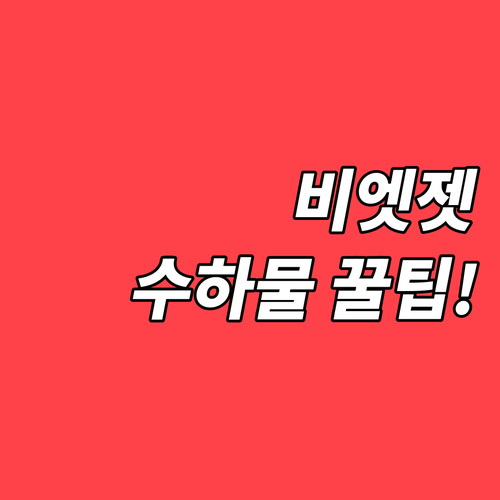 비엣젯항공 수하물 규정과 초과 요금 ..