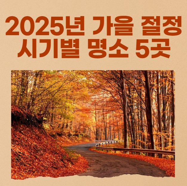 2025년-가을-절정-시기별-명소-5곳-완벽-가이드