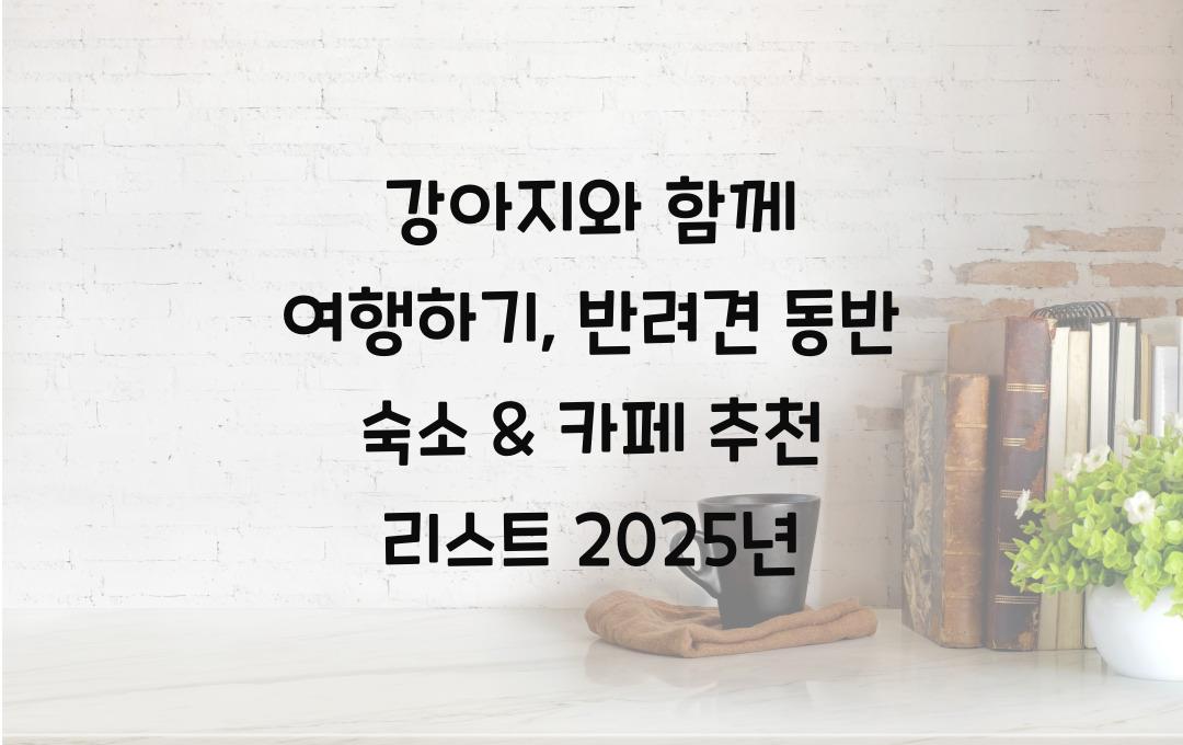 강아지와 함께 여행하기, 반려견 동반 가능한 숙소 & 카페 추천