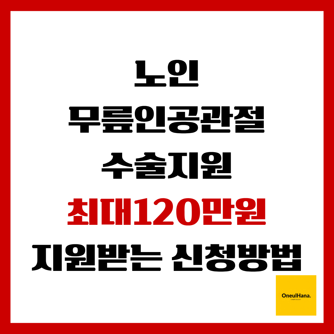 노인무릎인공관절수술지원