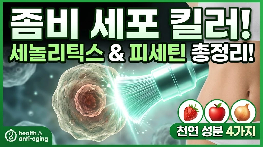 좀비세포 세놀리틱스 피세틴 퀘르세틴 총정리 썸네일.