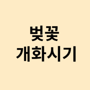 벚꽃 개화시기