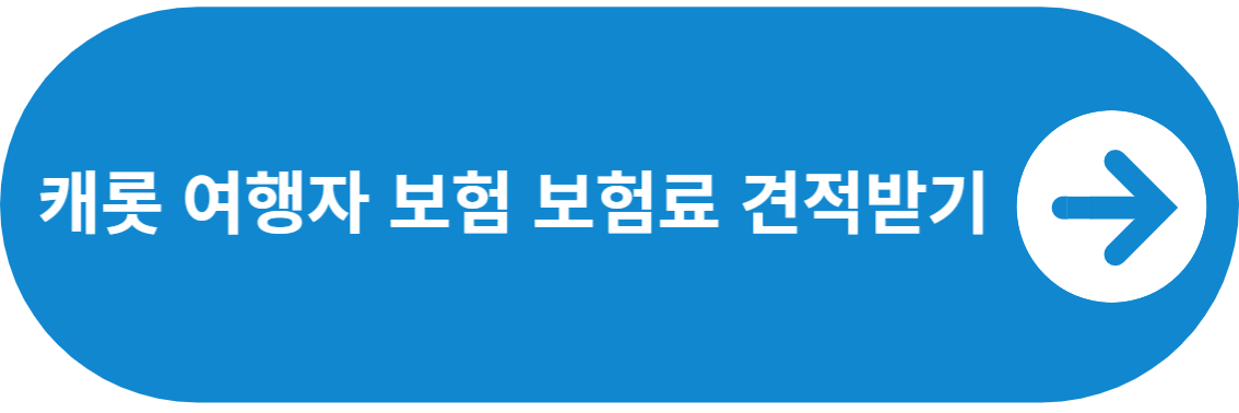 캐롯여행자보험 견적받기