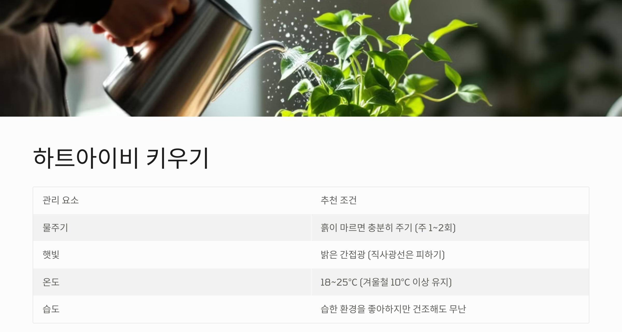 하트아이비