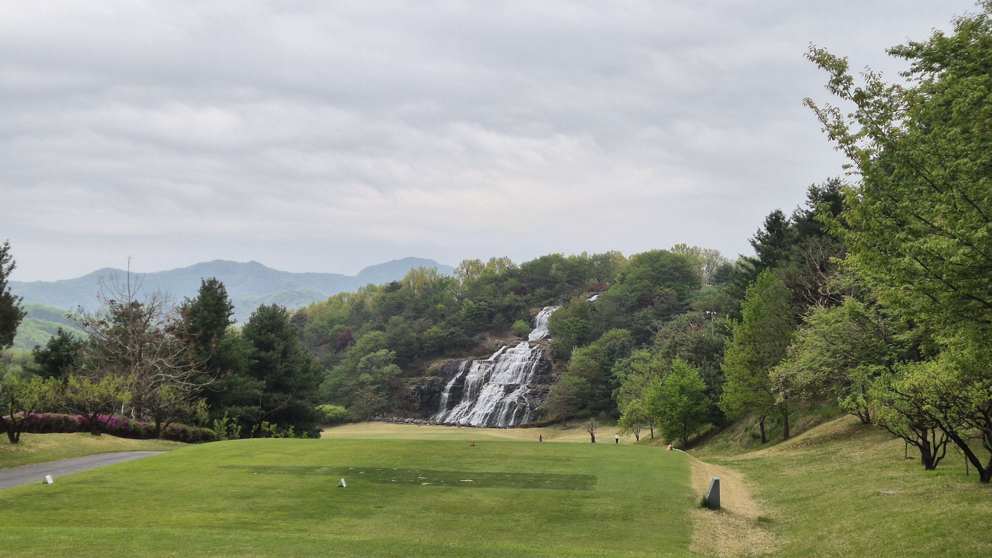 시그너스cc 코튼-라미 코스 사진 및 공략 정보