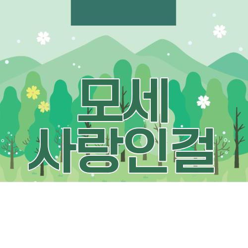 모세 사랑인걸