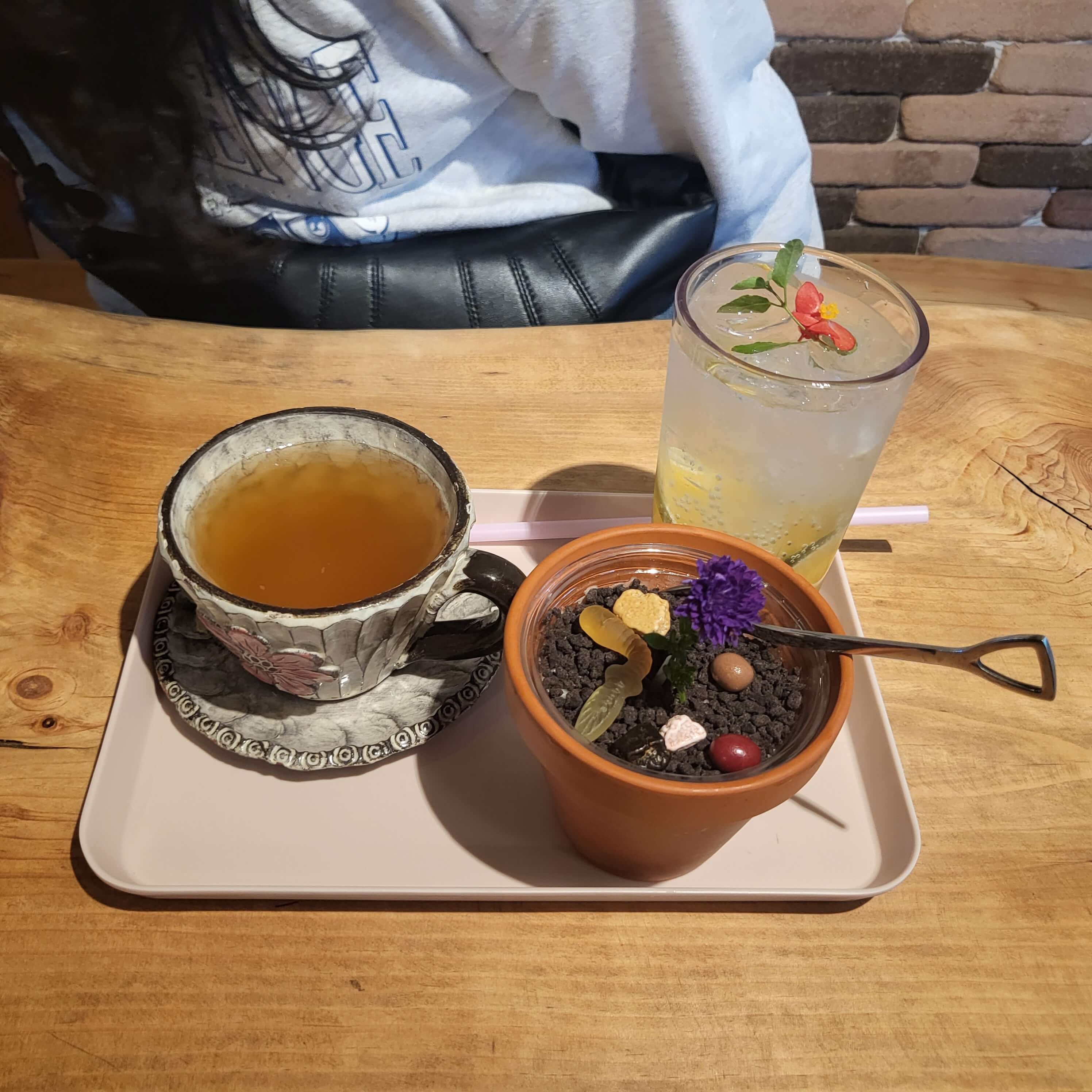 신라식물원 입장료인 차