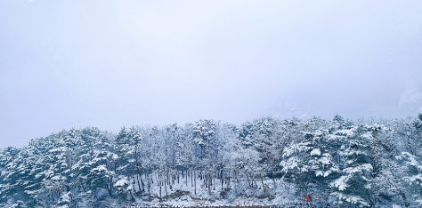 생방송투데이 썰매축제 경기도 포천