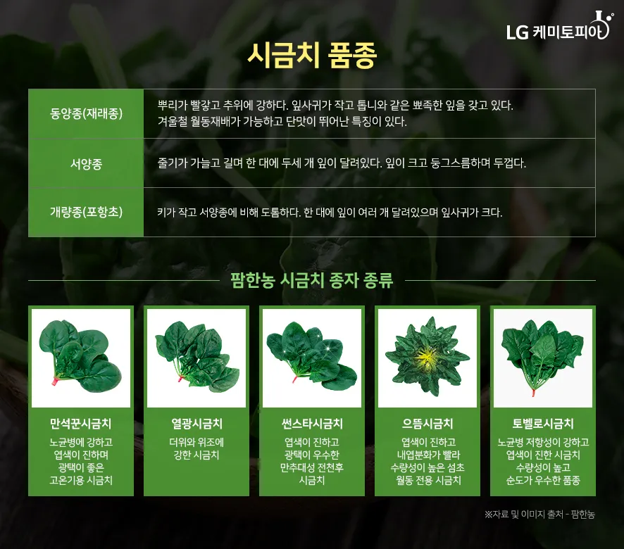 &amp;quot;시금치