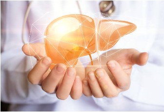 간수치가-올라가는-이유