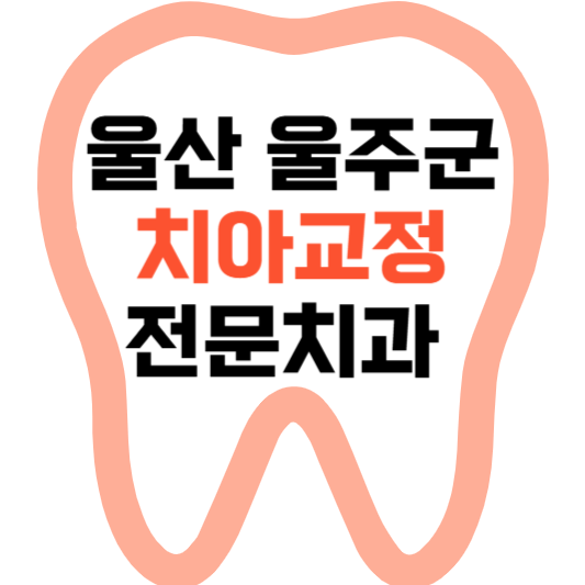 울산 울주군 치아교정 치과 잘하는 곳 전문 치과 추천 가격 비용.png