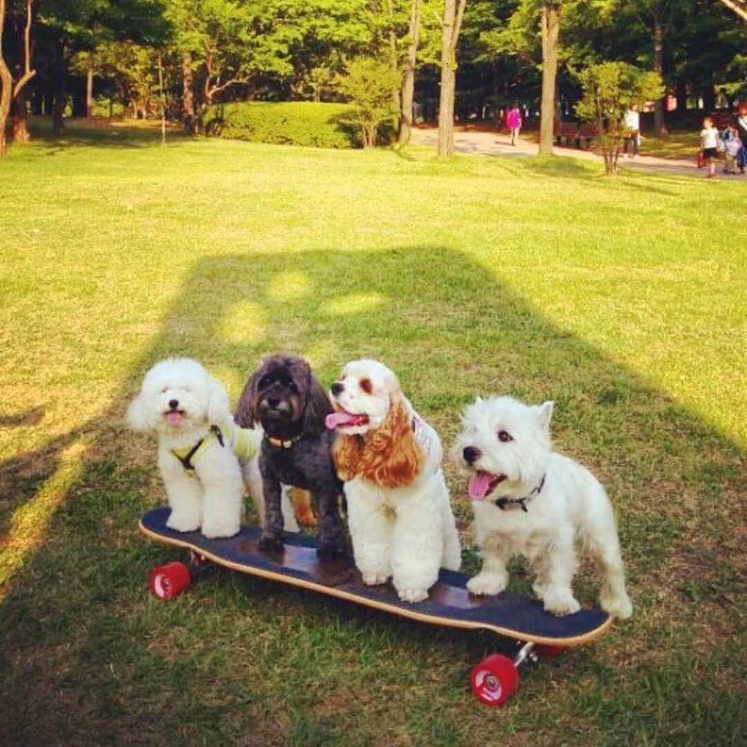 카카오 택배 집에서 보내기