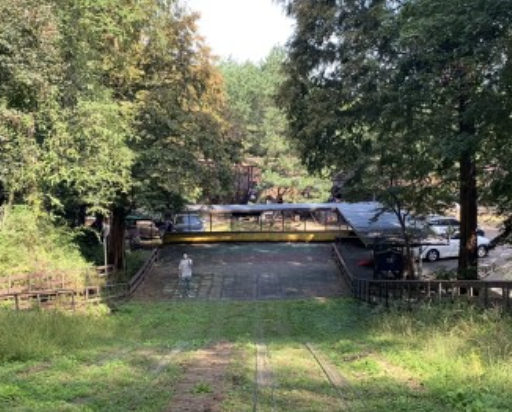 화성 반달곰이 살던 숲