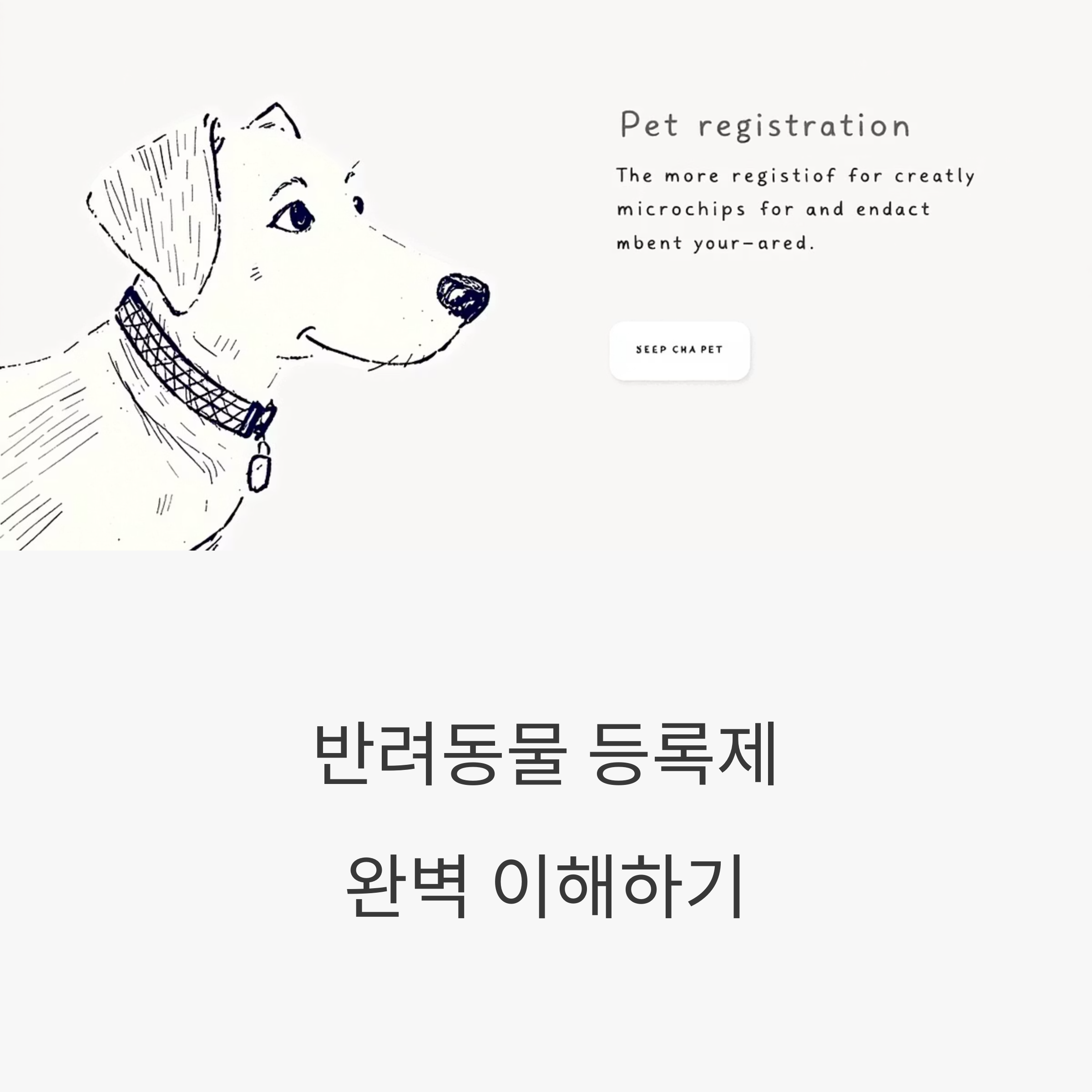 반려동물 등록제 완벽 이해하기