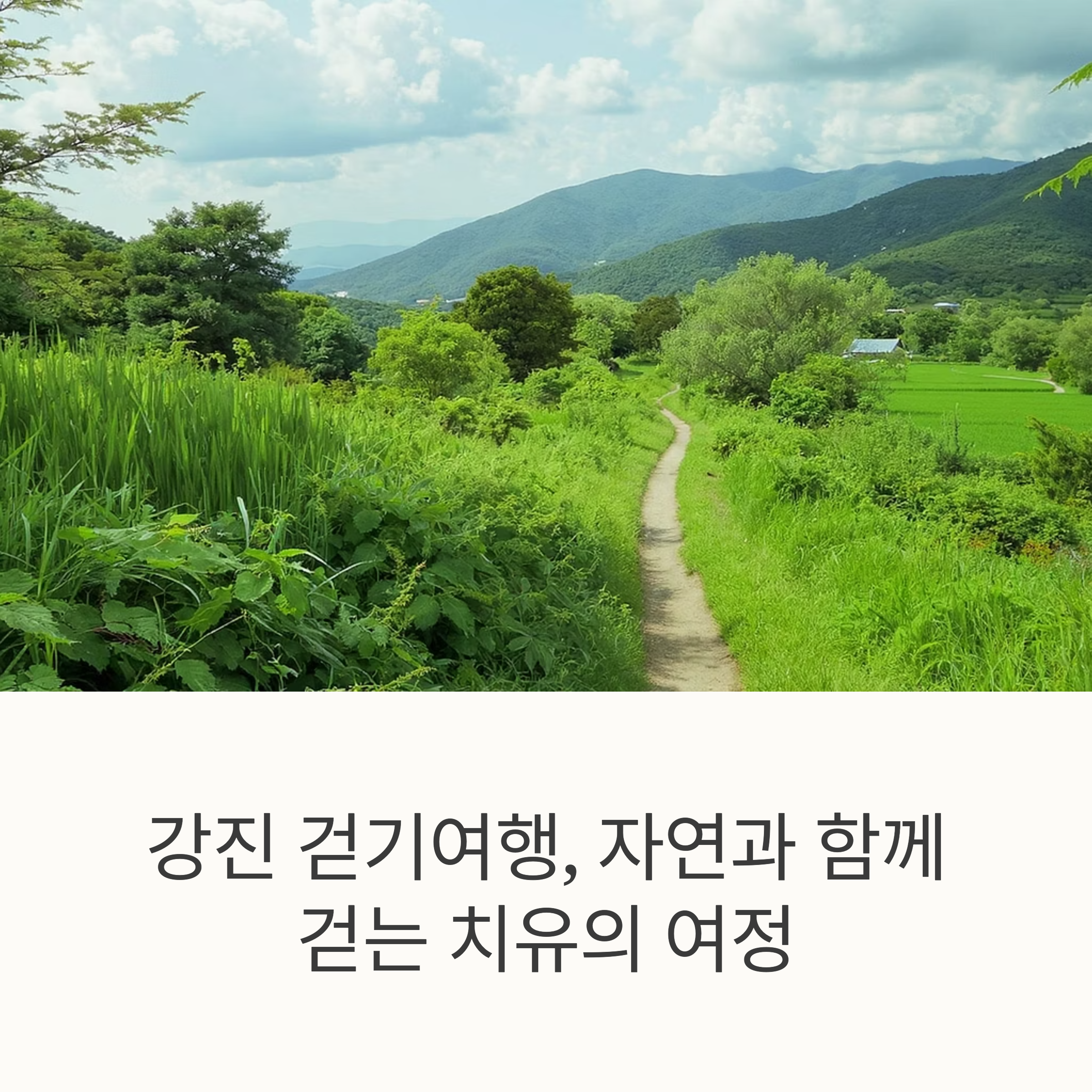 강진 걷기여행, 자연과 함께 걷는 길